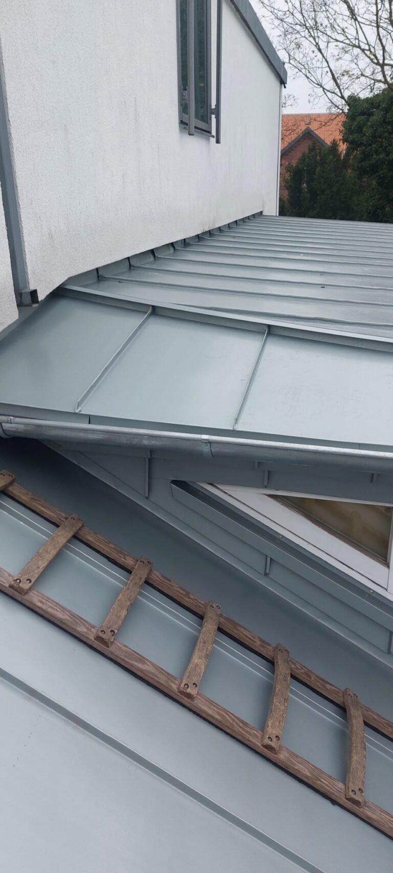 PHOTO-2024-12-29-16-48-31 (2)